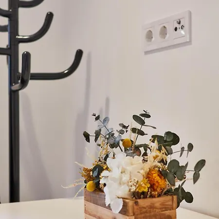 Apartman Julia Ribadavia