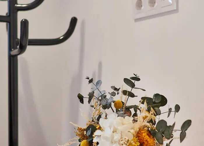 Daire Julia Ribadavia